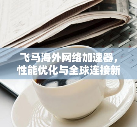 飞马海外网络加速器，性能优化与全球连接新方案