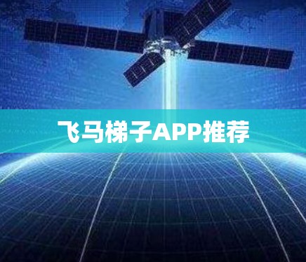 飞马梯子APP推荐