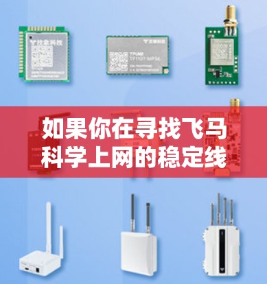 如果你在寻找飞马科学上网的稳定线路，以下是一些建议和步骤，帮助你确保网络连接的稳定性和可靠性