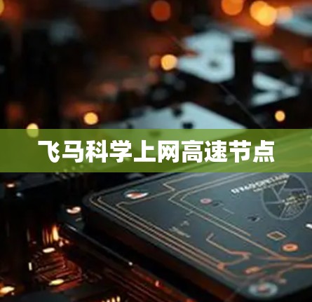 飞马科学上网高速节点