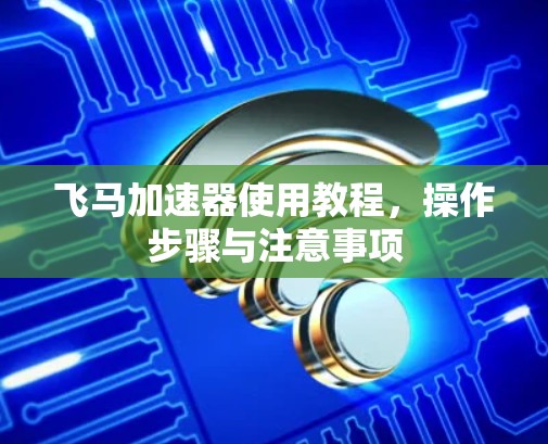 飞马加速器使用教程，操作步骤与注意事项