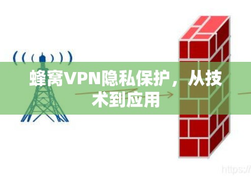 蜂窝VPN隐私保护，从技术到应用