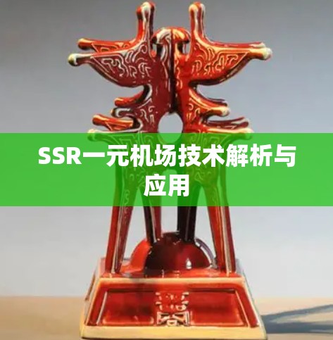 SSR一元机场技术解析与应用