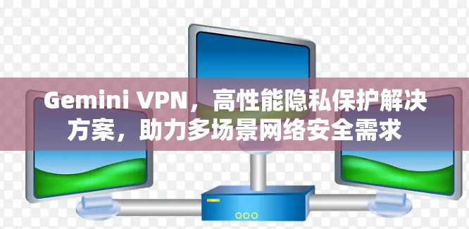 Gemini VPN，高性能隐私保护解决方案，助力多场景网络安全需求
